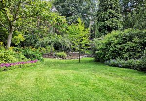 Optimiser l'expérience du jardin à Le Collet-de-Deze